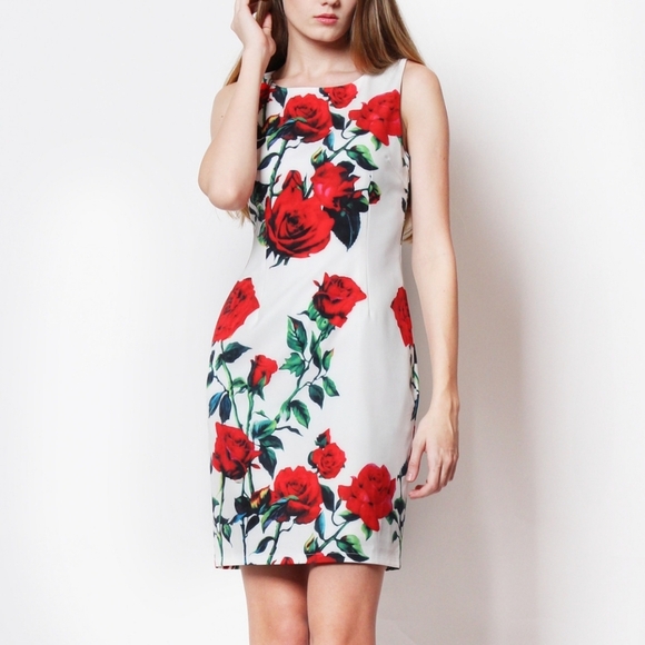 Brand New Floral Sleeveless Dress - Red and Pink Size 8 - Picture 1 of 12